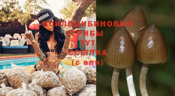 гашик Алзамай