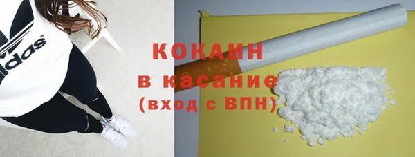 гашик Алзамай