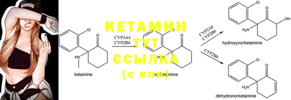 гашик Алзамай
