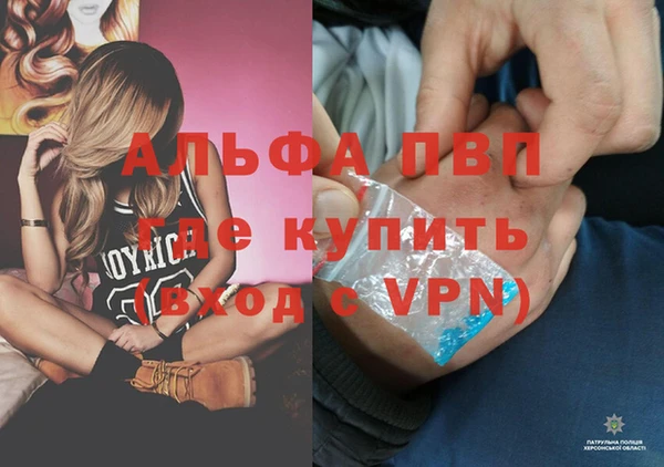 СК Алексин
