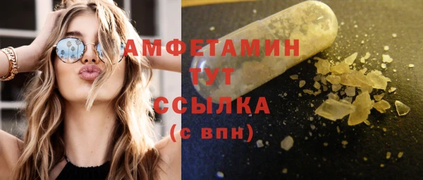 СК Алексин