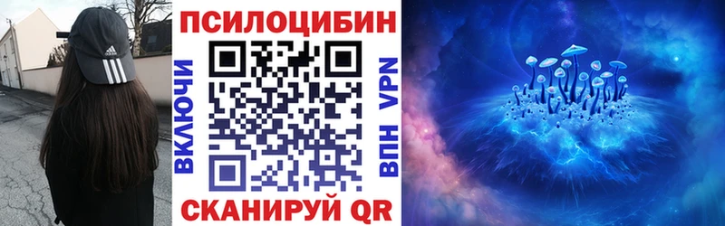 сайты даркнета официальный сайт  дарнет шоп  Новозыбков  Псилоцибиновые грибы Psilocybe 