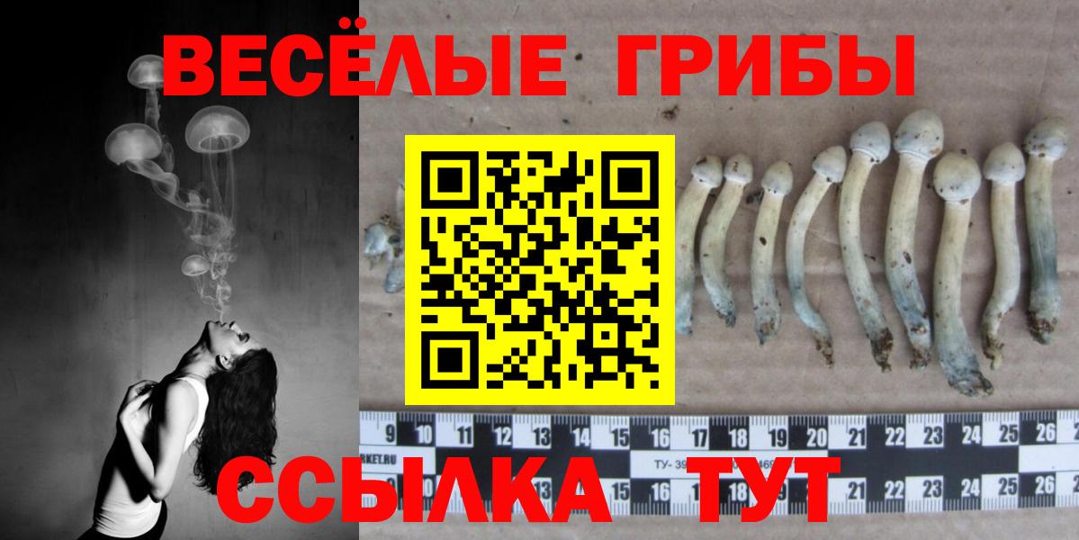 Галлюциногенные грибы MAGIC MUSHROOMS Новозыбков